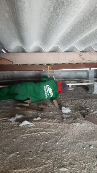 Motel Queen - Módulos